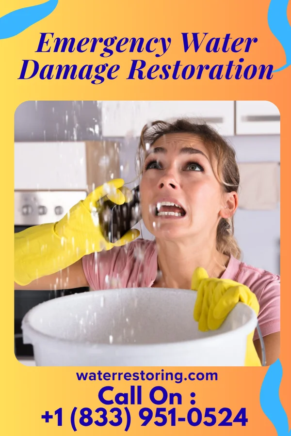 Emergency Water Damage Restoration in Maysville, CO